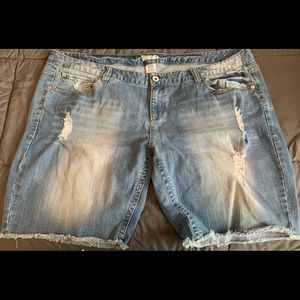 Maurice’s distressed jean shorts 24W